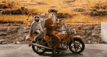 Fox Foxes GIF - Fox Foxes Motorcycle GIFs
