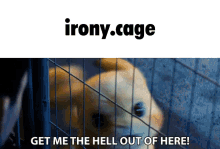 flag world discord cage prison irony cage