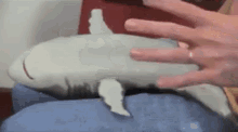 Shark Belly Rubs - Belly GIF - Belly Shark Belly Rubs Baby Shark GIFs