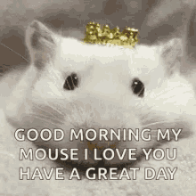 Good Morning My Mouse Rats GIF - Good Morning My Mouse Rats Queen Rat GIFs