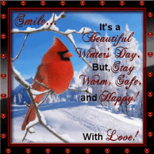 Stay Warm Winter GIF - Stay Warm Winter Cardinal GIFs