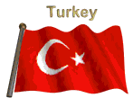 Trk Turkey Sticker - Trk Turkey Flag Stickers