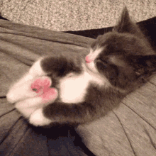 Kitten Stretching GIF - Kitten Stretching Cute GIFs