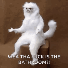 Confused Monkey GIF - Confused Monkey Where Is The Bathroom GIFs