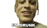 Im Drunk Alcohol Sticker - Im Drunk Alcohol Drunk Stickers