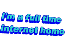 full time internet homo funny sarcastic text post
