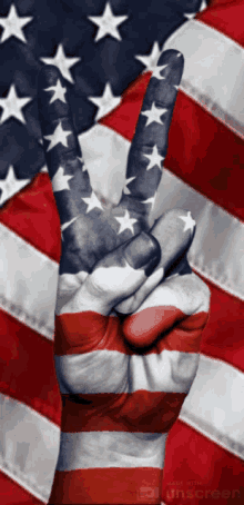 America Flag GIF - America Flag Peace GIFs