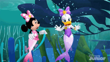 shocked minnie mouse daisy duck mickey mouse funhouse mermaids to the rescue
