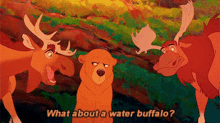 Brother Bear What About A Water Buffalo GIF - Brother Bear What About A Water Buffalo Water Buffalo GIFs