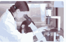 Research Scientist GIF - Research Scientist Microscope GIFs