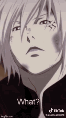 shingeki no