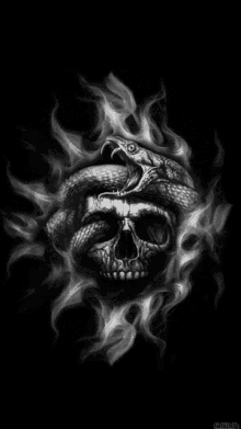 Snake Skull GIF - Snake Skull Art GIFs