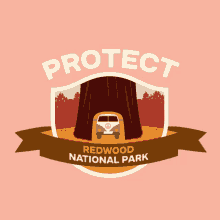 Protect More Parks Trees GIF - Protect More Parks Trees Camping GIFs