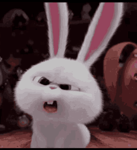 Huh Rabbit GIF - Huh Rabbit Cute GIFs