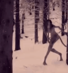 tenor.gif
