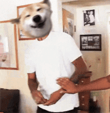 Dogecoin Confused Dogecoin GIF - Dogecoin Confused Dogecoin Huh Dogecoin GIFs