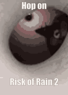 Ror2 Risk Of Rain GIF - Ror2 Risk Of Rain Risk Of Rain2 GIFs