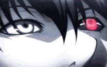 Tokyo Ghoul トーキョーグール GIF - Tokyo Ghoul トーキョーグール Anime GIFs