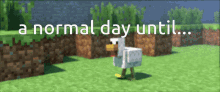 A Normal Day Chick GIF - A Normal Day Chick Chicken GIFs