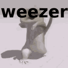 Weezer Incel GIF - Weezer Incel Virgin GIFs
