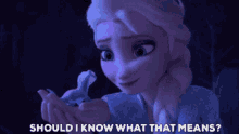 Frozen Elsa GIF - Frozen Elsa Should I Know What That Means GIFs
