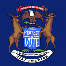 Protect Democracy Protect The Vote GIF - Protect Democracy Protect The Vote Si Quaeris Pennisulam Amcenam GIFs