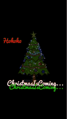 Christmas Tree Christmas Is Coming GIF - Christmas Tree Christmas Is Coming December25th GIFs