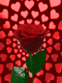 Rose Hearts GIF - Rose Hearts Flower GIFs