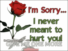 sorry rose never meant hurt you