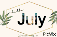 Hello July Text GIF - Hello July July Text GIFs