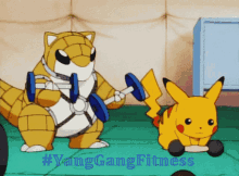 Yanggangfitness Pokemon GIF - Yanggangfitness Pokemon Pikachu GIFs