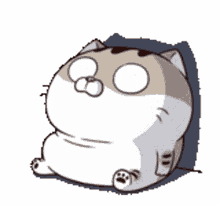 ami fat cat no thats not true sad what ami fat cat no thats not true sad what