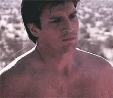 nathan fillion