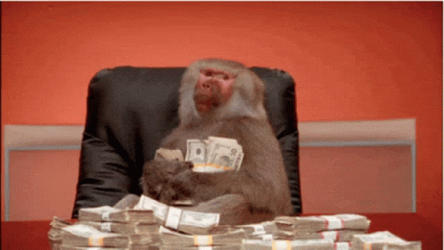 [Image: monkey-money.gif]