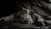 The Lion King Sarabi GIF - The Lion King Sarabi Your Sons Awake GIFs