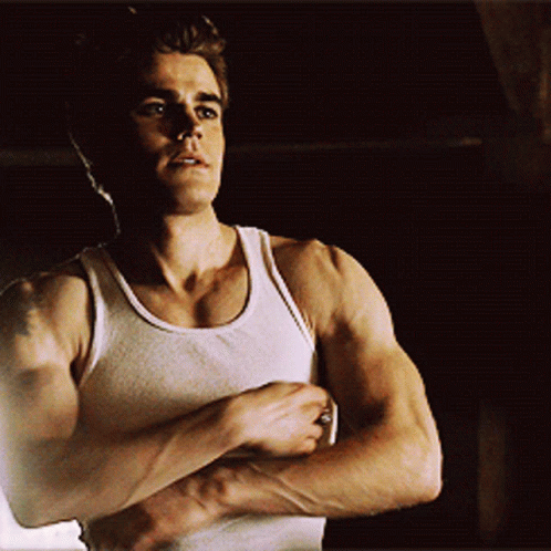 Stefan Hot GIF Stefan Hot Salvatore Discover Share GIFs