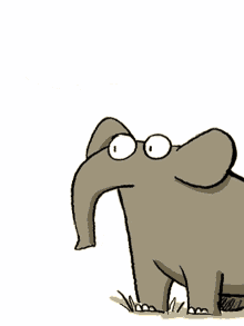 Elephant I Now Have Additional Questions GIF - Elephant I Now Have Additional Questions Animation GIFs