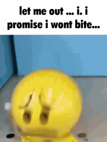 frown toy bounce let me out i wont bite frown toy bounce let me out i wont bite