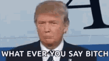 Trump Whatever You Say Bitch GIF - Trump Whatever You Say Bitch Sassy GIFs