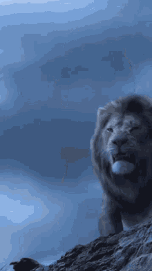 Lion Roaring GIF - Lion Roaring GIFs