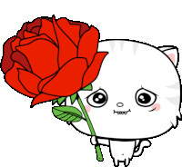 Sorry Toofio Offers A Rose Sticker - Toofiothe Cat Im Sorry Forgive Me Stickers