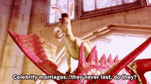 Celebrity Marriages GIF - Celebrity Marriages Donkey GIFs