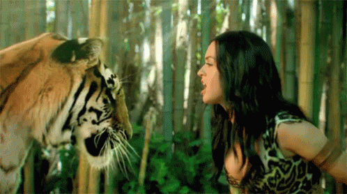 Katy Perry Roar GIF - Katy Perry Roar Music Video - Discover &amp; Share GIFs