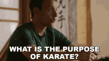 what is the purpose of karate ralph macchio daniel larusso cobra kai purpose of karate