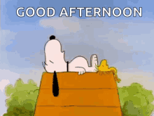 Snoopy Peanuts GIF - Snoopy Peanuts Woodstock GIFs