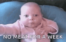 baby confused no meat