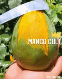 Mango Cult Ladik05 GIF - Mango Cult Ladik05 Srslypepper GIFs