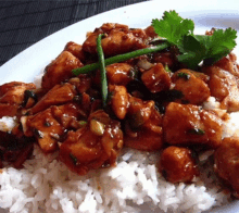 kung fu chicken its rucka chinese cuisine rice kung fu chicken its rucka chinese cuisine rice
