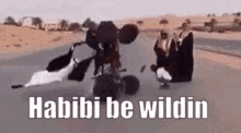 Habibi Wildin GIF - Habibi Wildin Meme GIFs