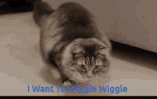 I Love To Dance I Want To Party GIF - I Love To Dance I Want To Party Wiggle GIFs